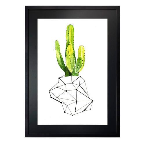 Cactus 1