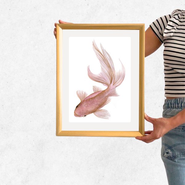 cuadro 30x40 DORADO Pez Rosa