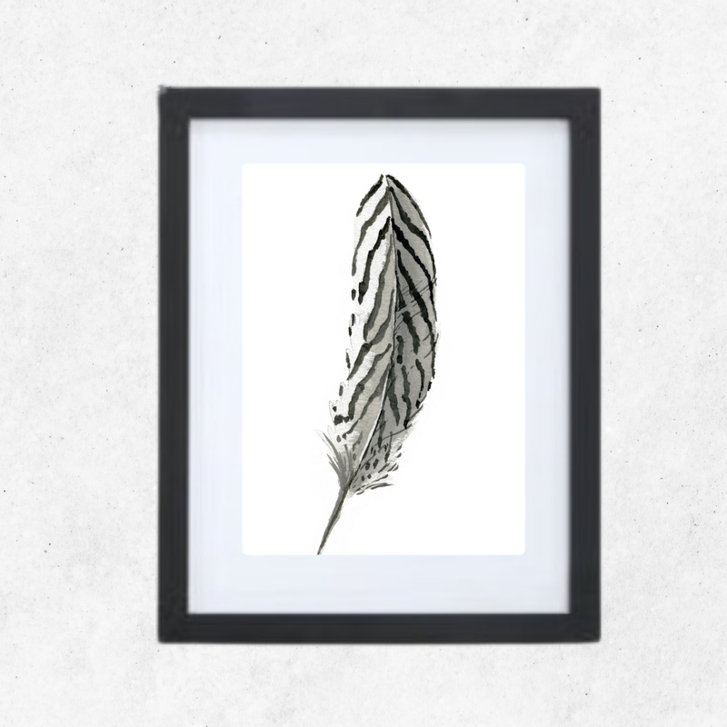 cuadro 20x25 marco NEGRO Pluma 2