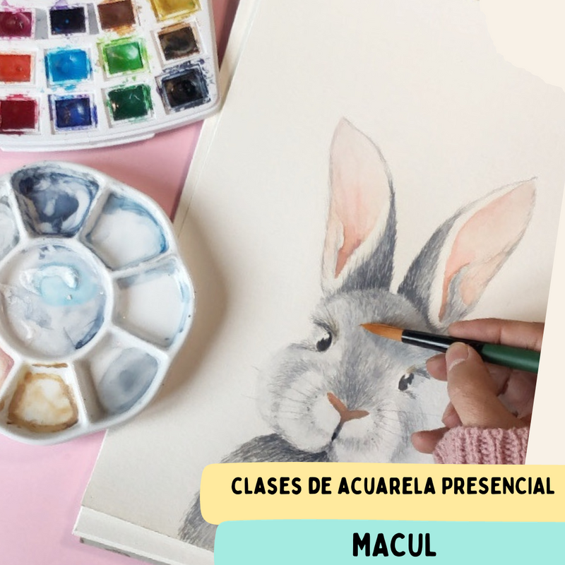 Clases de Acuarela para principiantes - MACUL