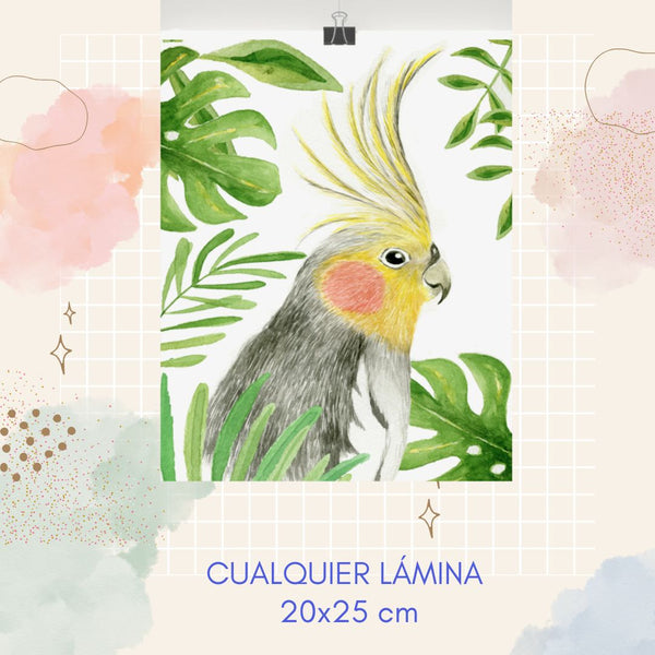 Lámina 20x25 cm