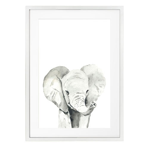 Animales - Elefante