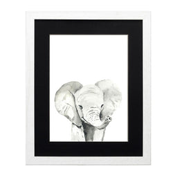 Animales - Elefante
