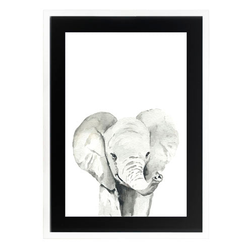 Cuadro decorativo Animales - Elefante
