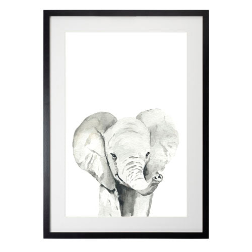 Cuadro decorativo Animales - Elefante