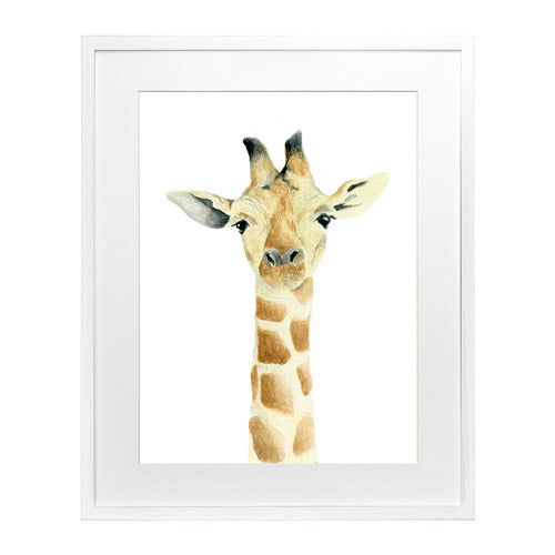 Animales - Jirafa