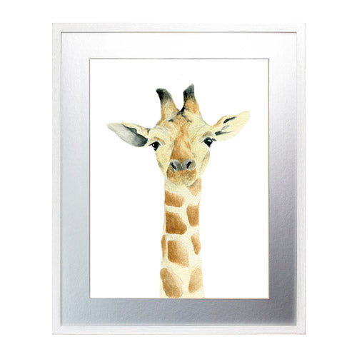 Animales - Jirafa