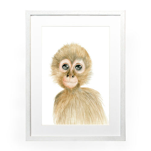Cuadro decorativo Animales - Mono