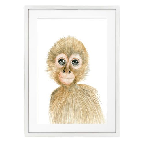 Cuadro decorativo Animales - Mono