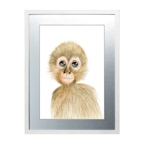 Cuadro decorativo Animales - Mono
