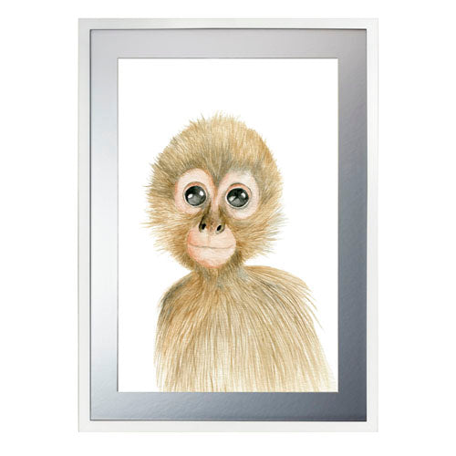 Cuadro decorativo Animales - Mono