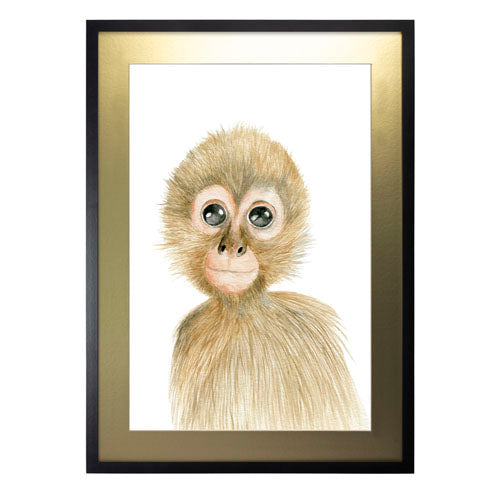 Cuadro decorativo Animales - Mono