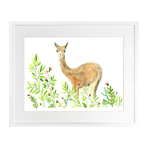 Animales Nativo 1