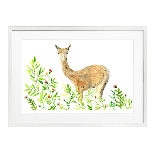 Animales Nativo 1
