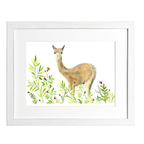 Animales Nativo 1