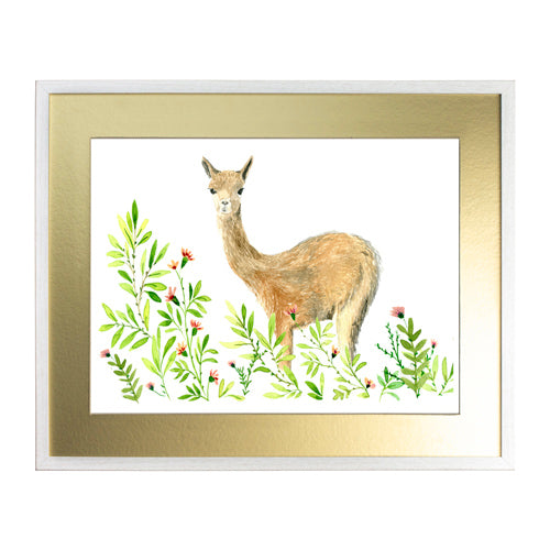Animales Nativo 1