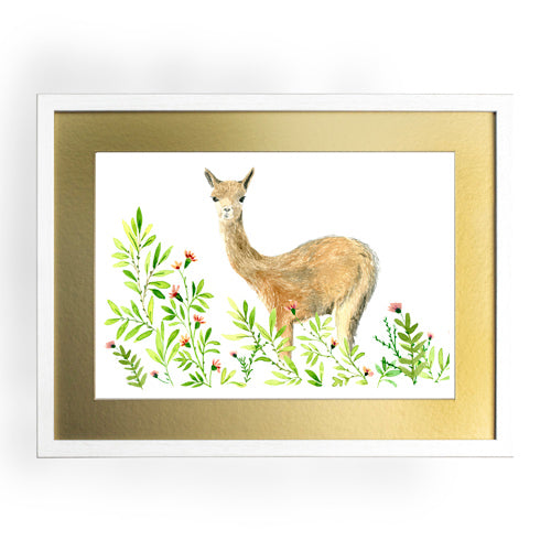 Animales Nativo 1