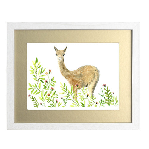 Animales Nativo 1