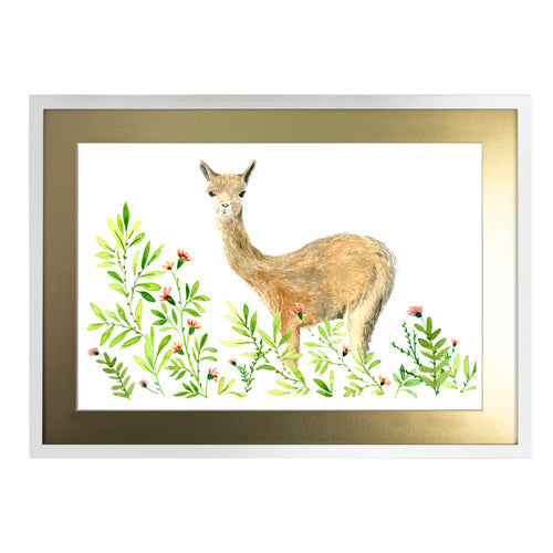 Animales Nativo 1