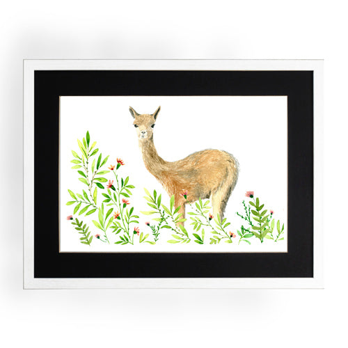 Animales Nativo 1