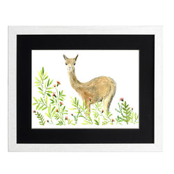 Animales Nativo 1