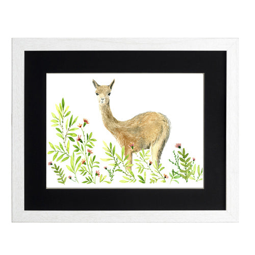 Animales Nativo 1