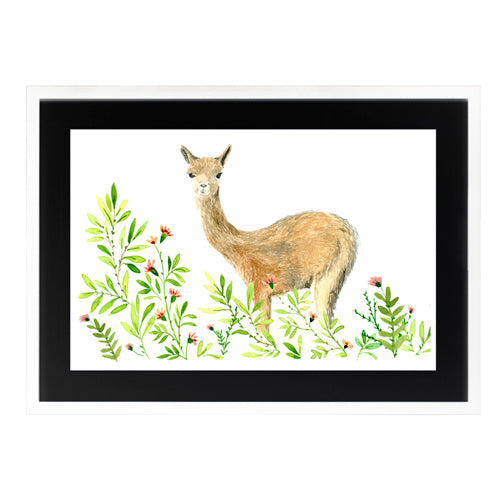 Animales Nativo 1