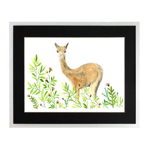 Animales Nativo 1