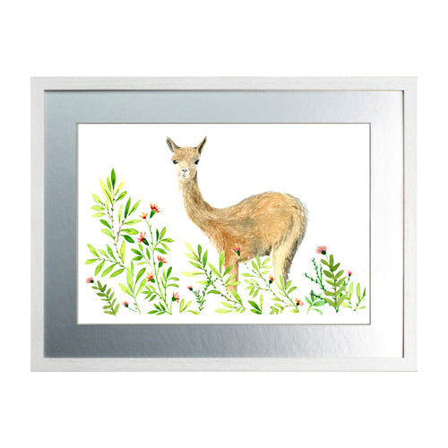 Animales Nativo 1