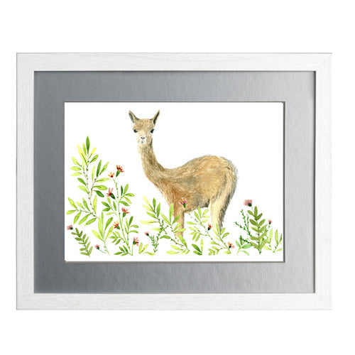 Animales Nativo 1