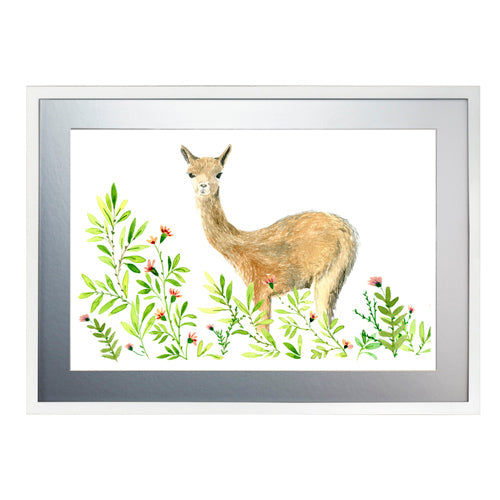 Animales Nativo 1