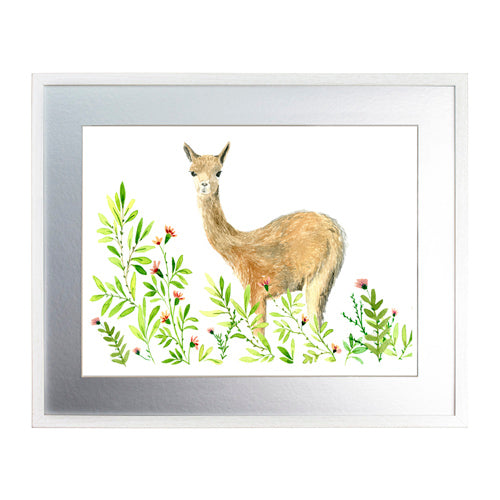 Animales Nativo 1