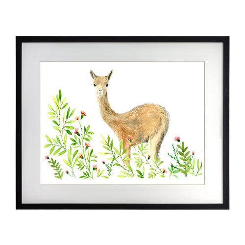 Animales Nativo 1