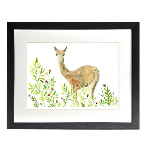 Animales Nativo 1