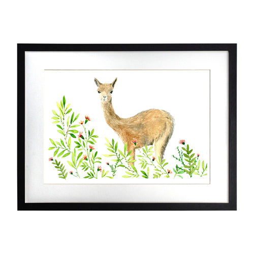 Animales Nativo 1