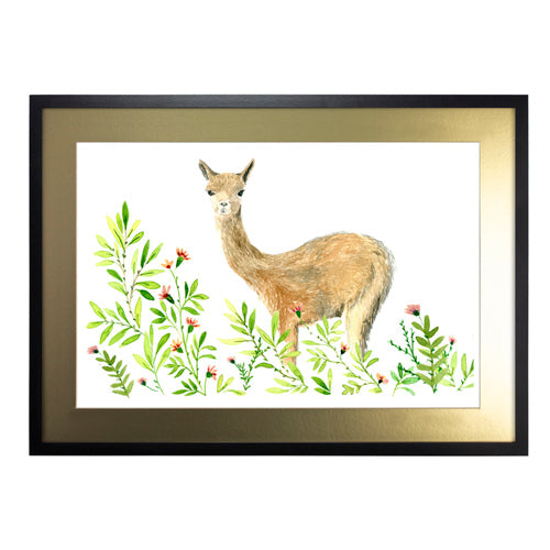 Animales Nativo 1