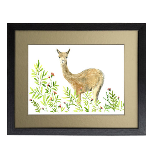 Animales Nativo 1