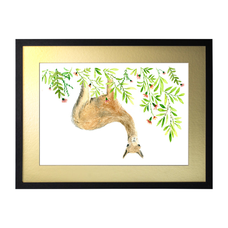 Animales Nativo 1