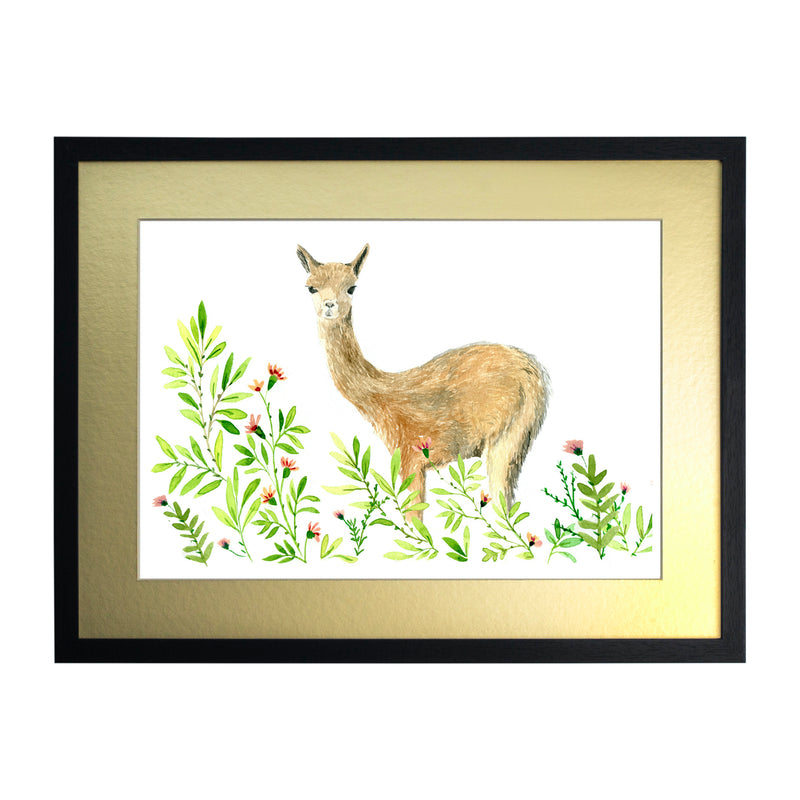 Animales Nativo 1