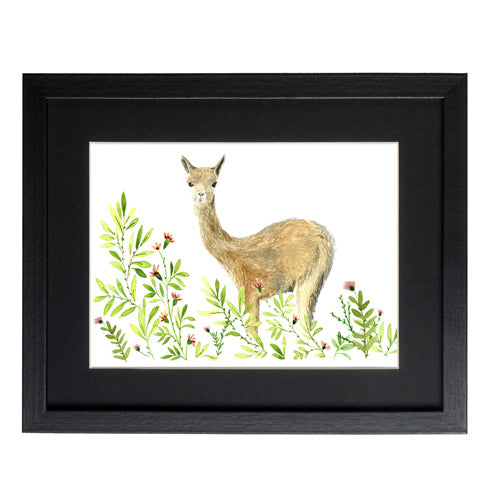 Animales Nativo 1