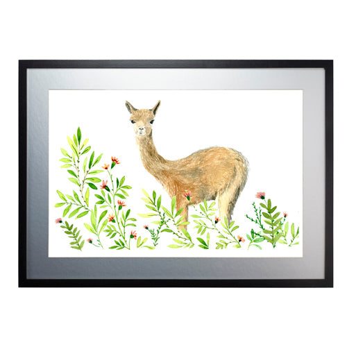 Animales Nativo 1
