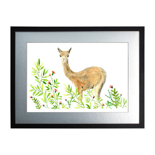 Animales Nativo 1