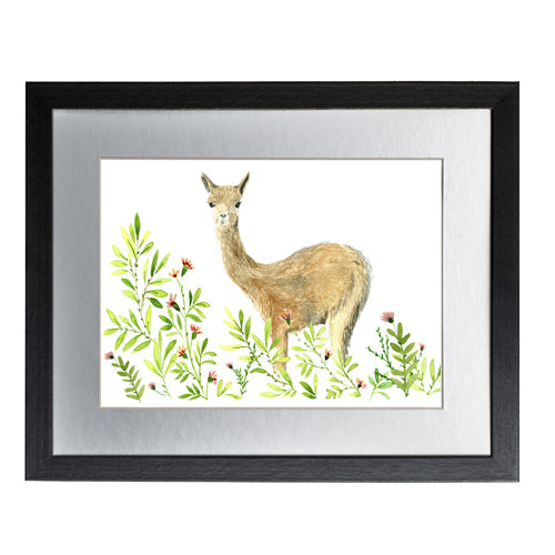 Animales Nativo 1