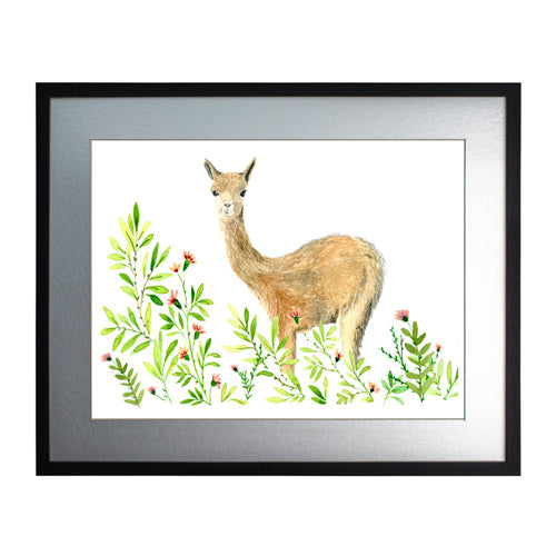 Animales Nativo 1