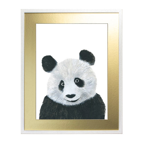 Animales Panda