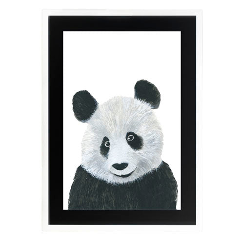 Animales Panda