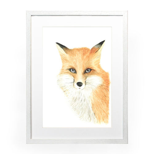 Animales Zorro