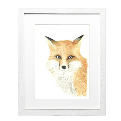 Animales Zorro