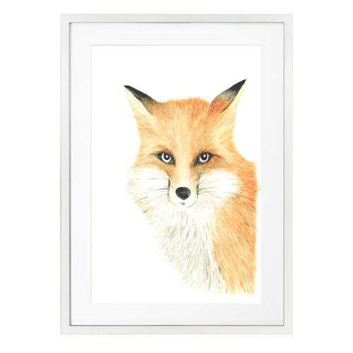 Animales Zorro