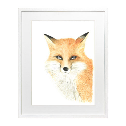 Animales Zorro